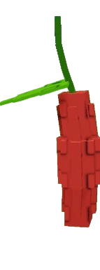 Bitter Melon