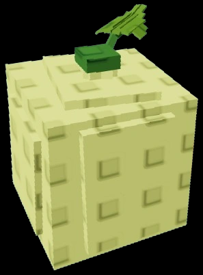 Cantaloupe
