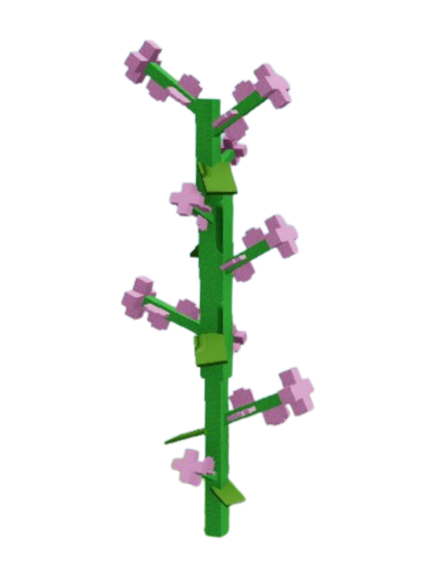 Lilac