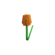Orange Tulip