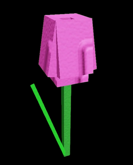 Pink Tulip