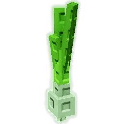 Spring Onion